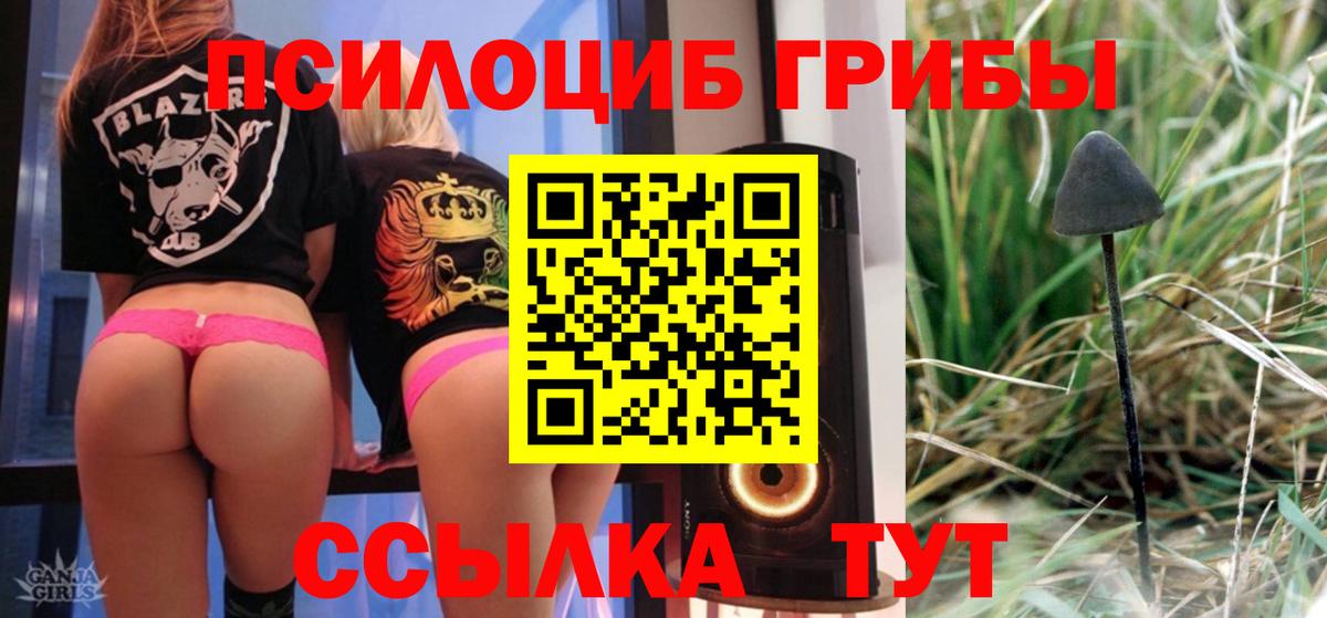 Псилоцибиновые грибы Psilocybine cubensis Лесозаводск